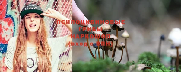 МДПВ Костерёво