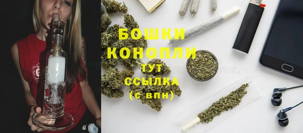 МДПВ Костерёво