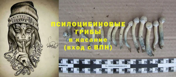 МДПВ Костерёво