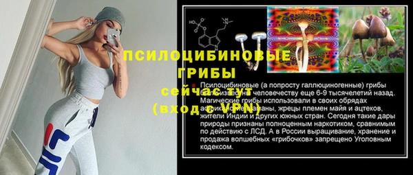 МДПВ Костерёво