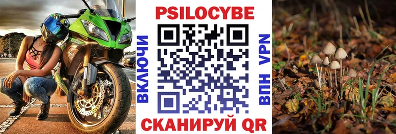 Купить где  Бронницы  Псилоцибиновые грибы GOLDEN TEACHER 